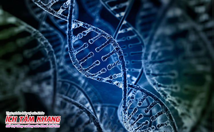 Nguyên nhân chủ yếu gây ra hội chứng Brugada là do gen di truyền